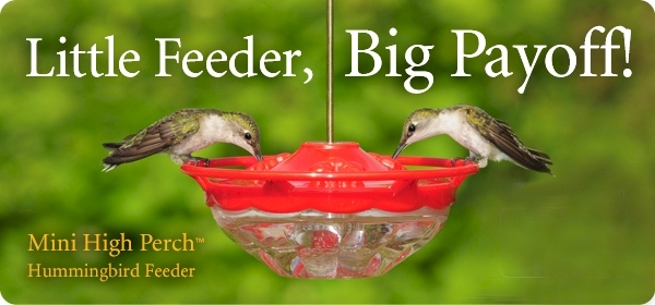 WBU Mini High Perch Hummingbird Feeder
